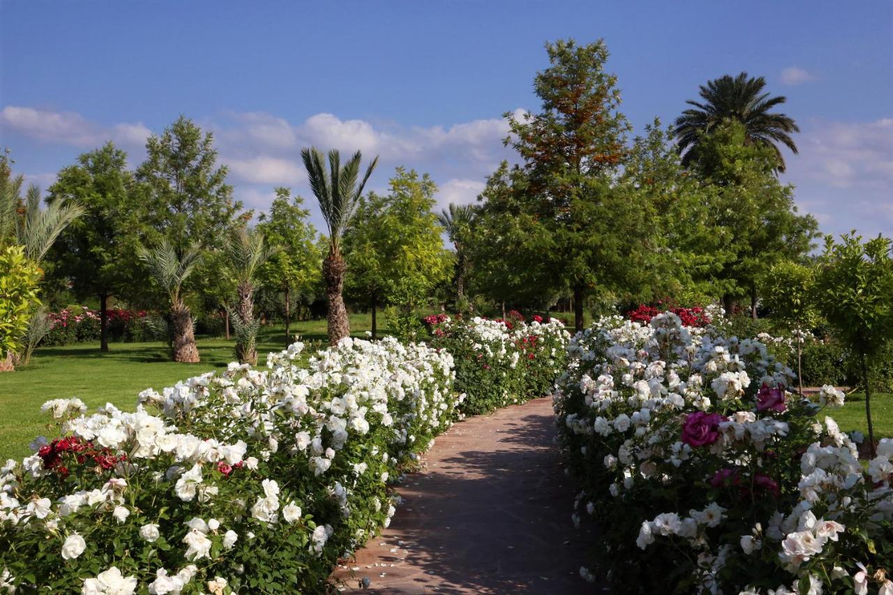 Ouled Jelal Valeria Dar Atlas All Inclusive מראה חיצוני תמונה